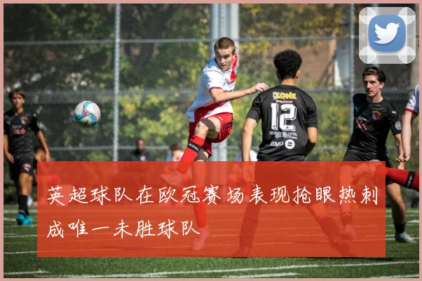 英超球队在欧冠赛场表现抢眼热刺成唯一未胜球队