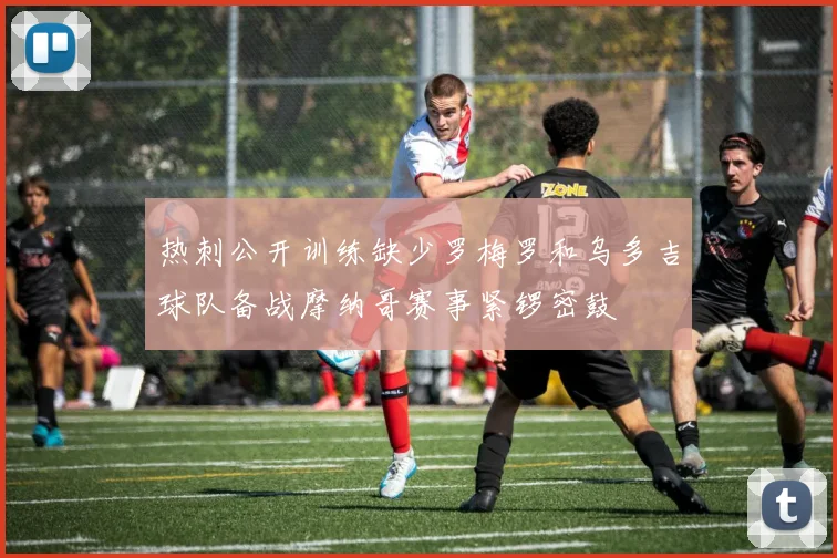 热刺公开训练缺少罗梅罗和乌多吉球队备战摩纳哥赛事紧锣密鼓